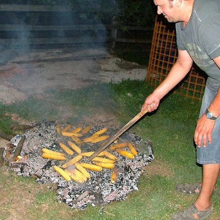 Krška Vas Tourist Farm Pri Martinovih 빌라 외부 사진
