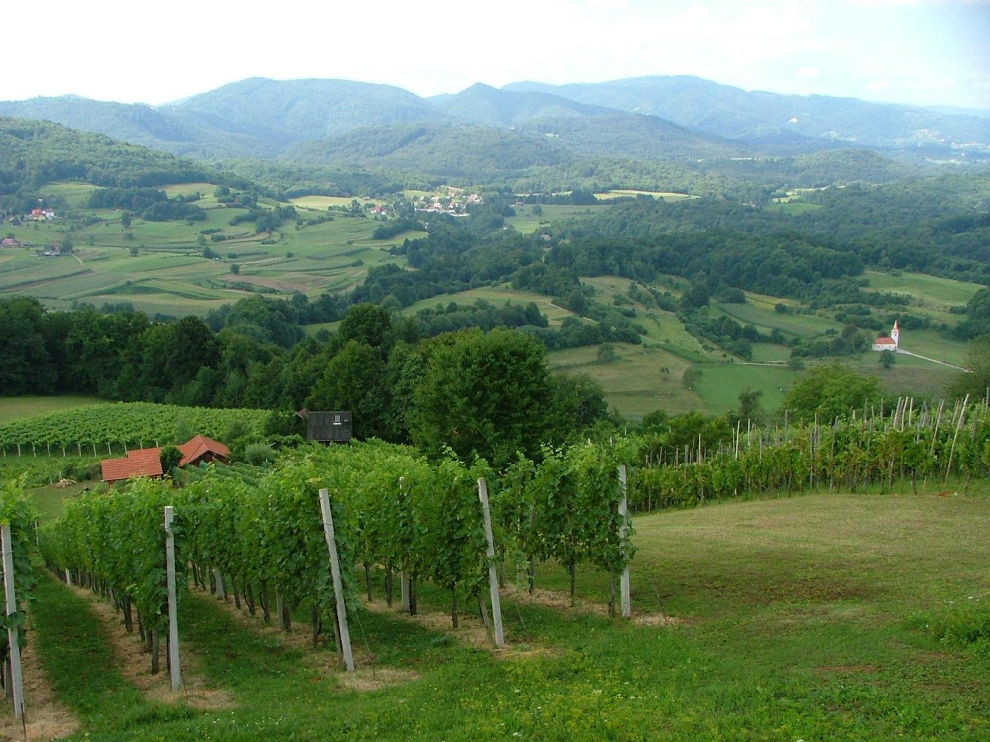 Krška Vas Tourist Farm Pri Martinovih 빌라 외부 사진